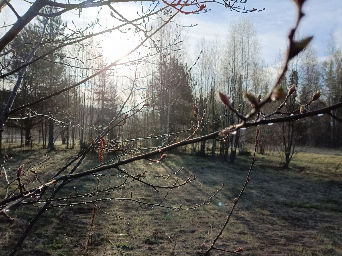 После дождичка 