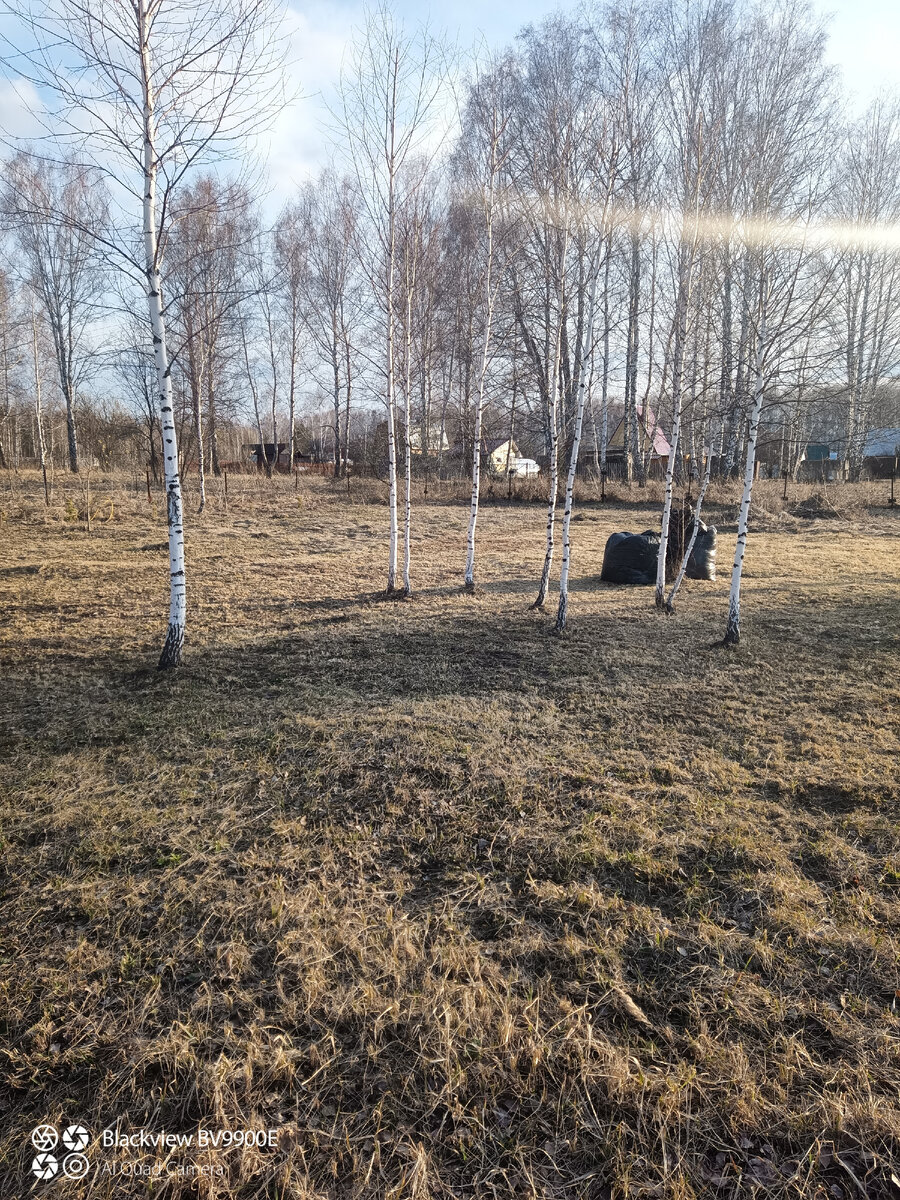 27 дней назад