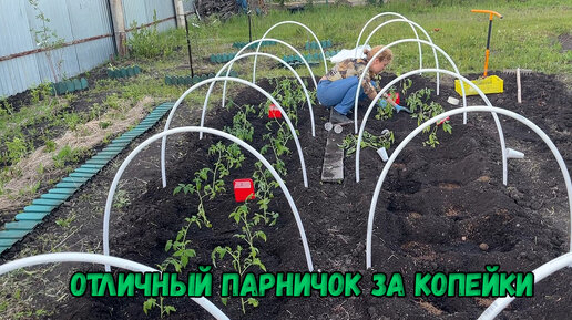 Отличный парничок за копейки