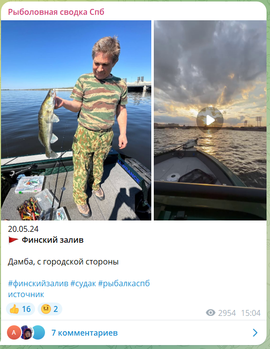 Рыбак поймал зачетного судака у дамбы. Обычно там клюют рыбы до кило