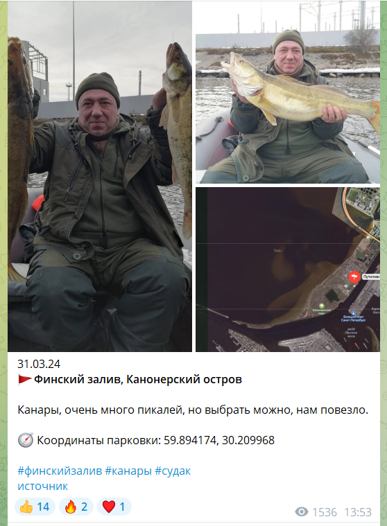 Трофейный судак с Канонерского острова