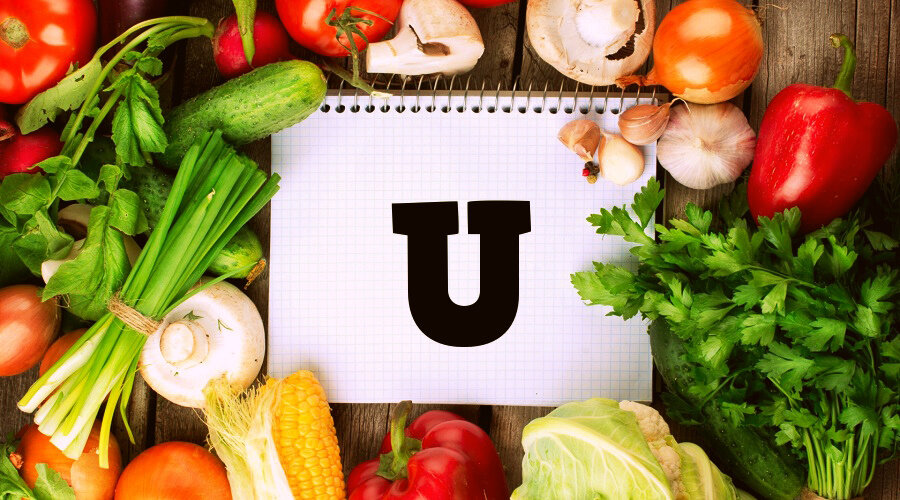 Фото взято из интернета