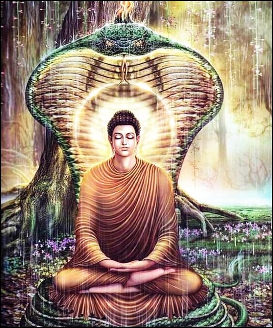 Будда и Вишну часто изображаются находящимися под укрывающим их многоголовым змеем (Царем Нагов), что как раз и может быть символом пробужденного состояния.