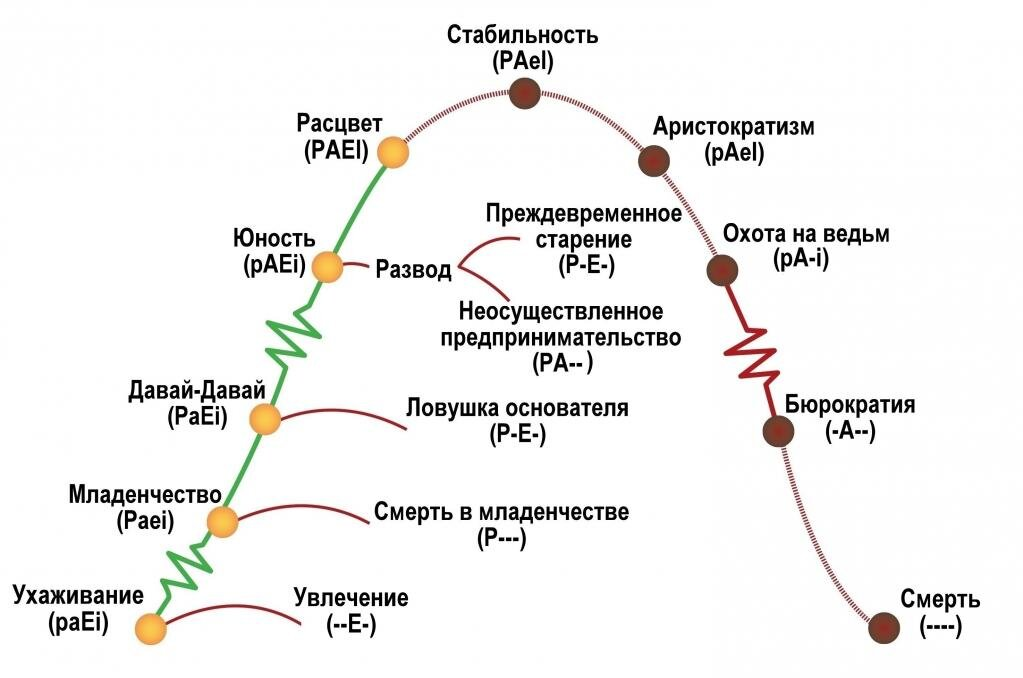 Рис.2 Жизненный цикл организации по Ицхаку Адизесу 