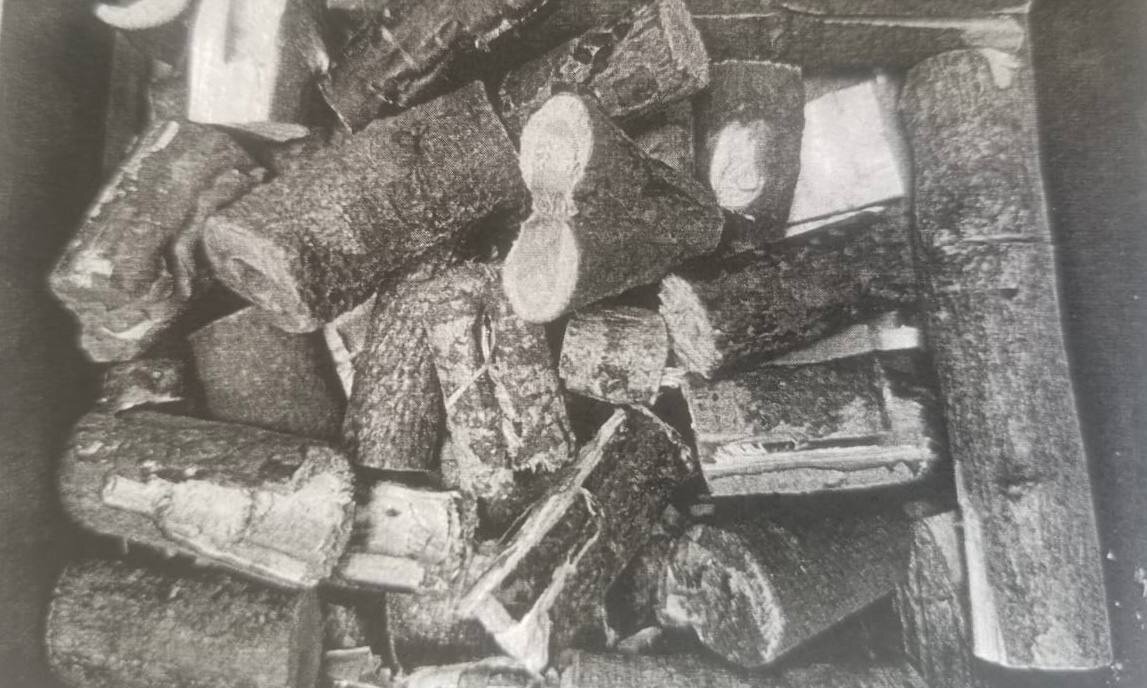 Фото: пресс-служба Прокуратуры СПб