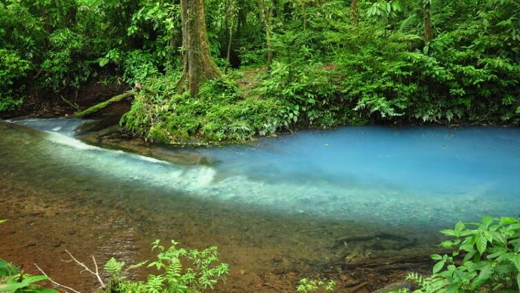     Фото: lvalin, по лицензии shutterstock.com