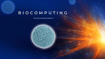 Представлен «процессор» из человеческого мозга