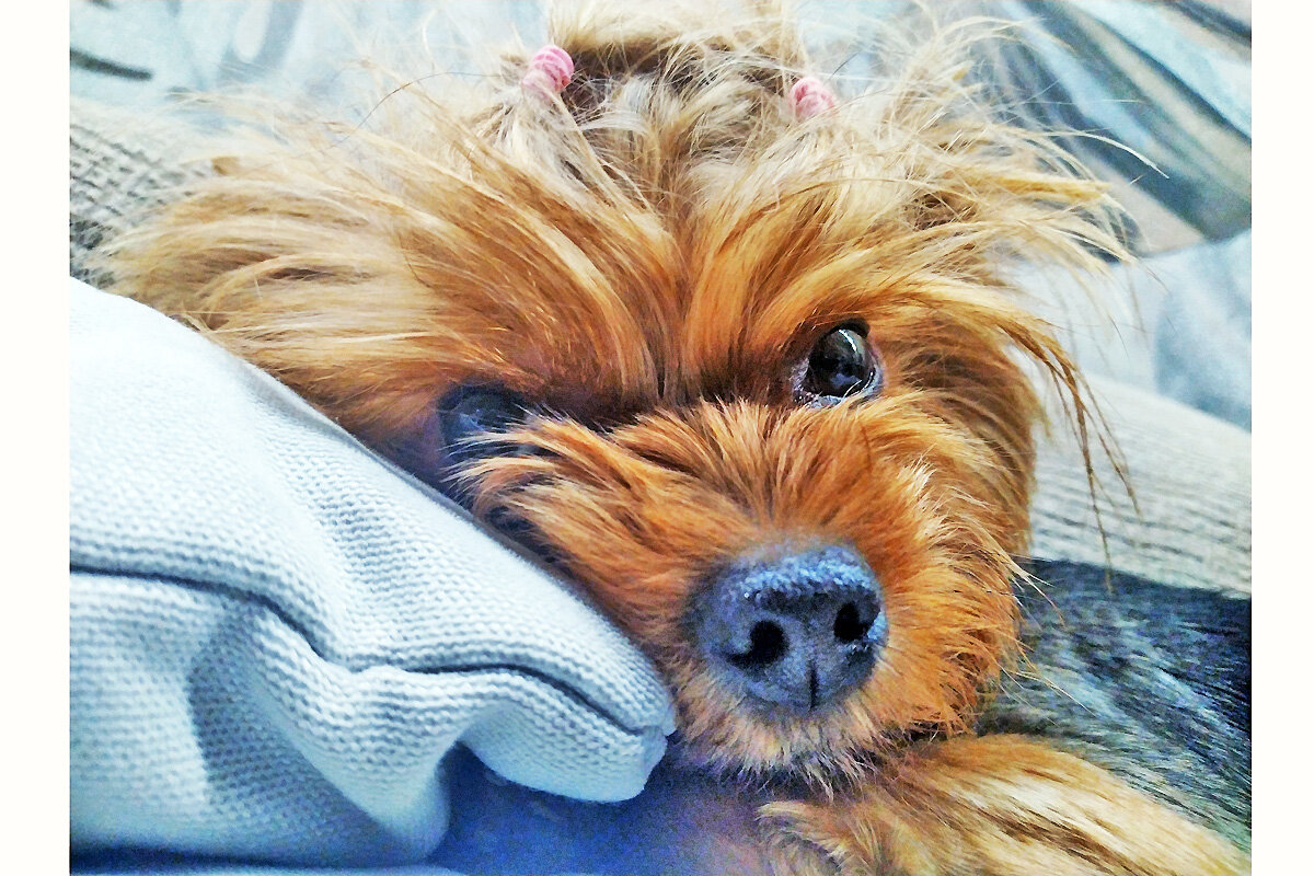 Это моя. Тоже кормлю. Метет все, как пылесос.