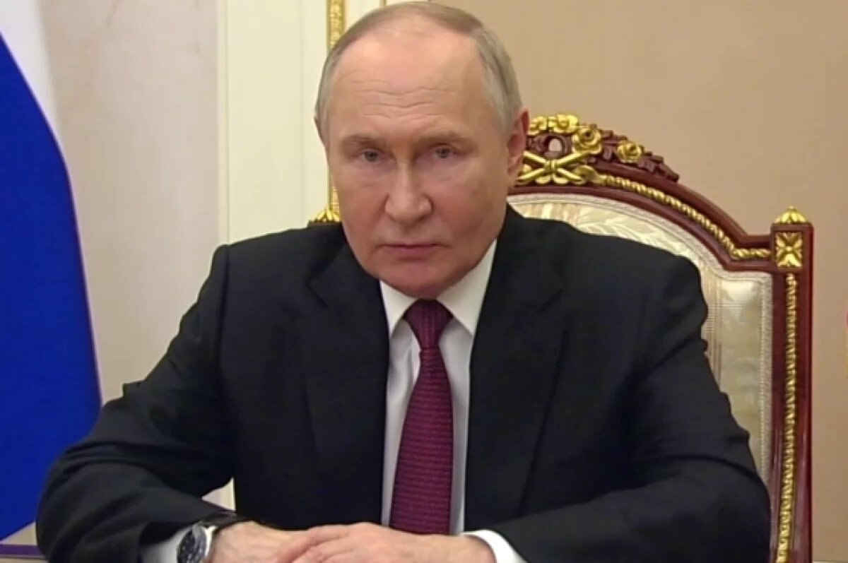    Путин: те, кто планировал террористические рейды в РФ, просчитались