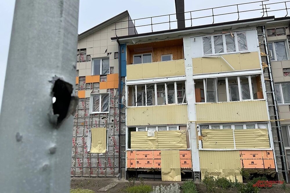    Фото:  АиФ/ Дмитрий Григорьев