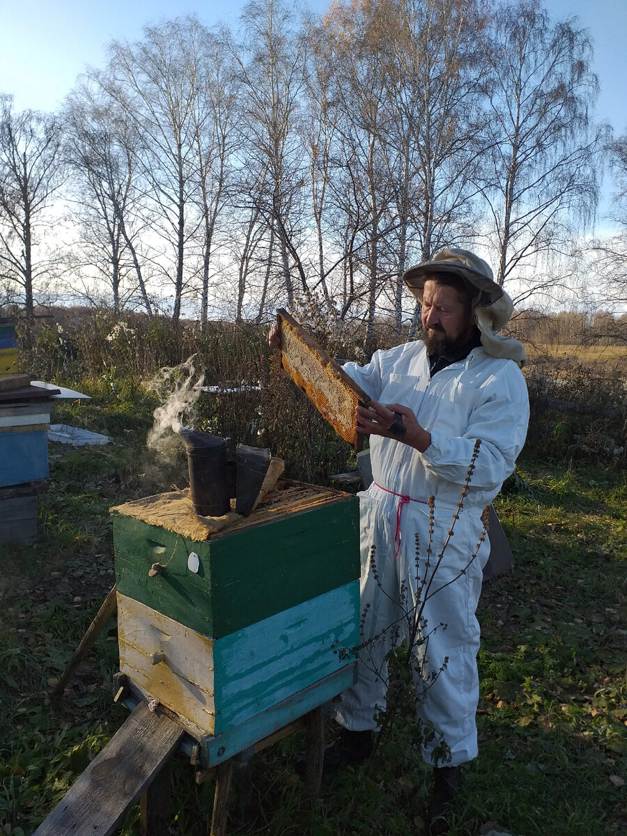 Автор на своей пасеке в д. Борзуновка Кожевниковского Томской, когда ещё фермер И. не подсадил в 3,5 км убийцу- рапс и пчёлы ещё не погибли...