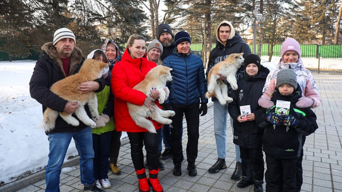     Автор: Диана Шарафулисламова Источник: primorsky.ru