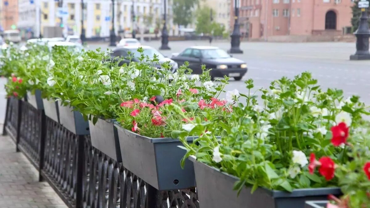     Источник: Администрация Челябинска