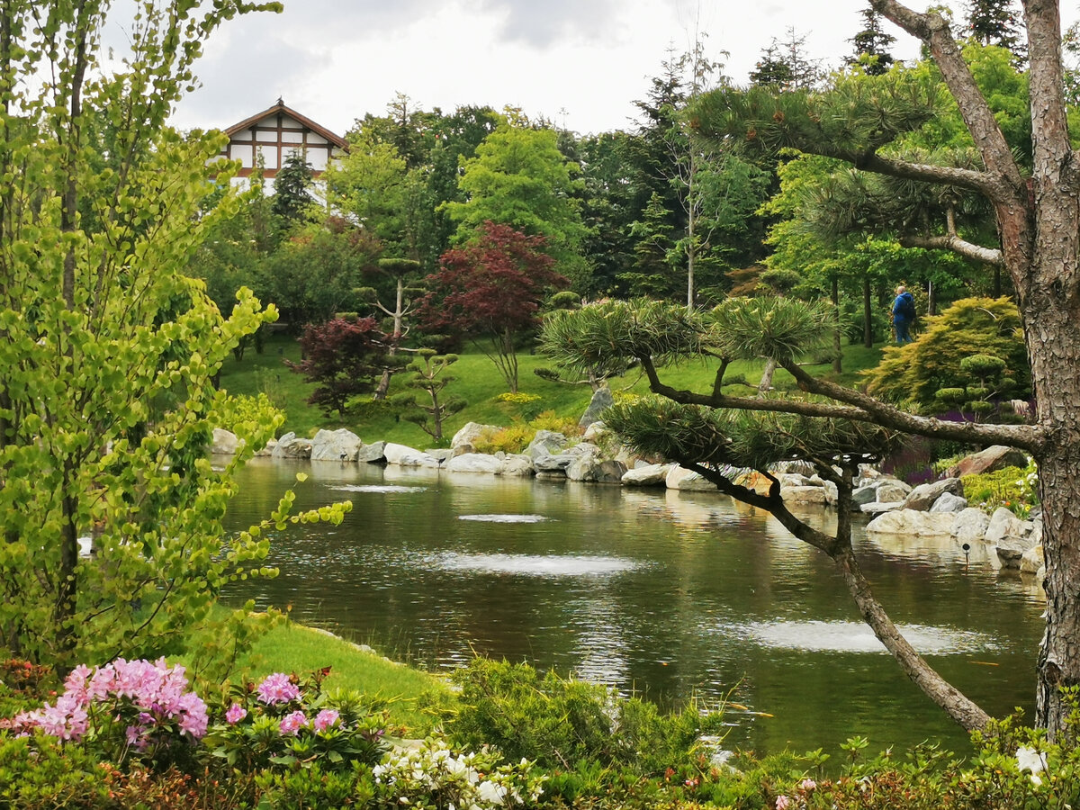 Фото сделанное в Краснодарском японском саду
