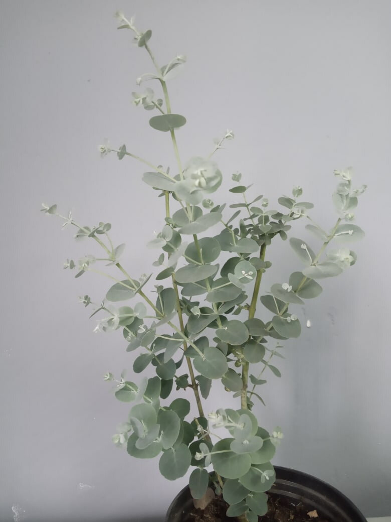 Фото автора Алина Ковина