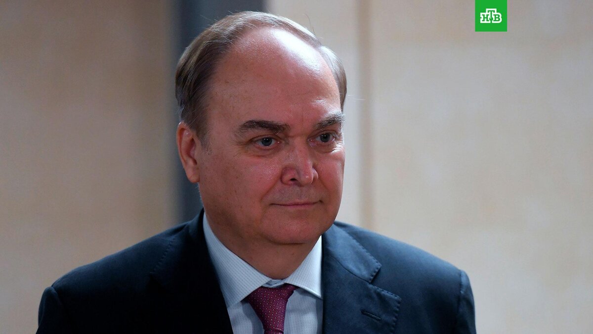    Фото: РИА Новости © 2024, Илья Питалев