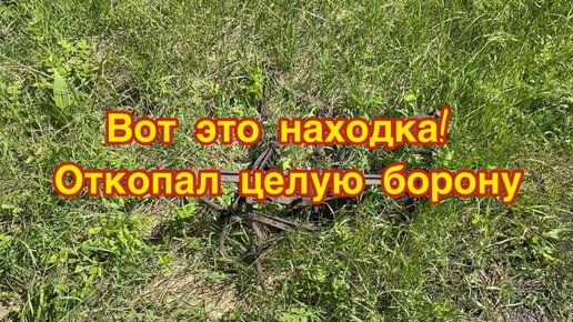 Вот это находка! Откопал из земли целую борону