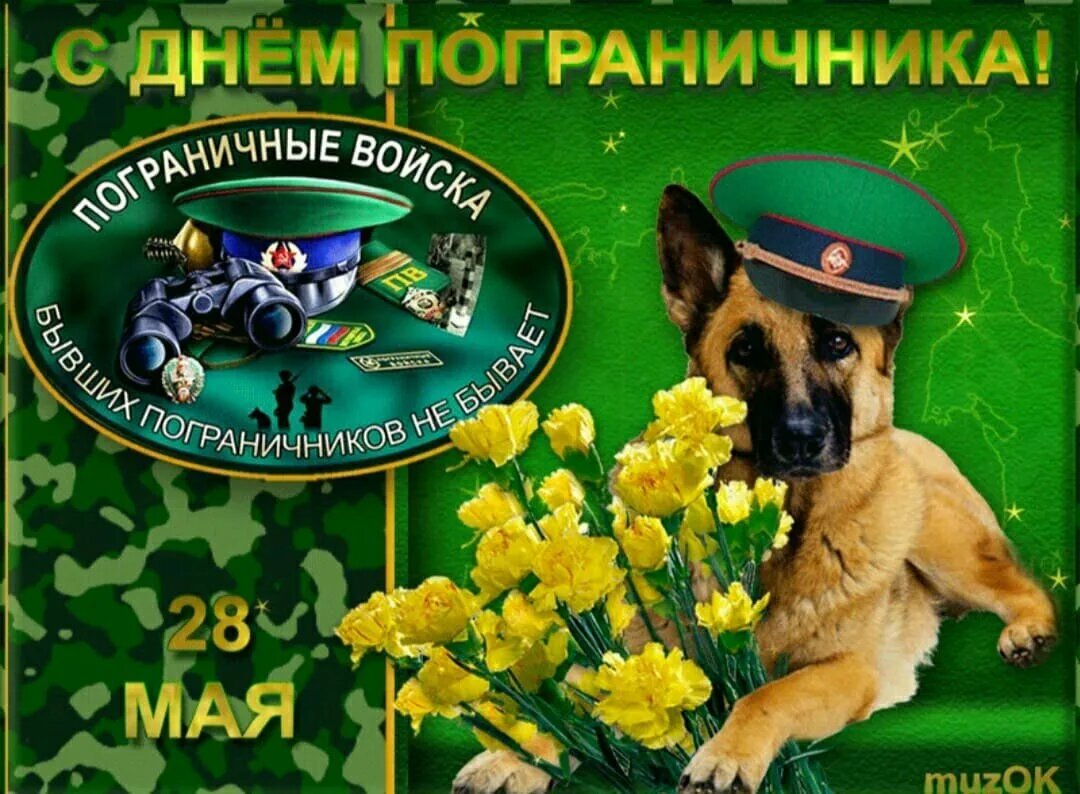 Яндекс картинки.