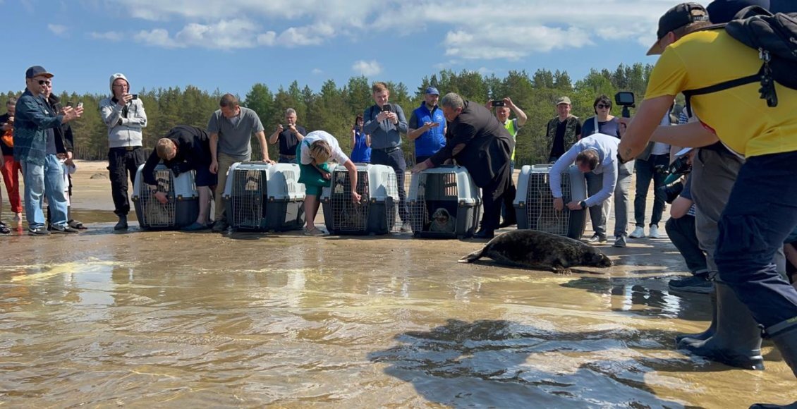    Фото: пресс-служба Росприроднадзора