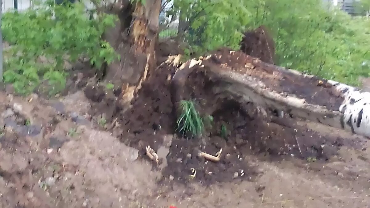     Источник: соцсети