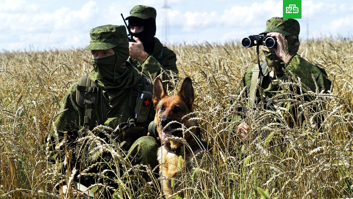    Фото: РИА Новости © 2024, Александр Кондратюк