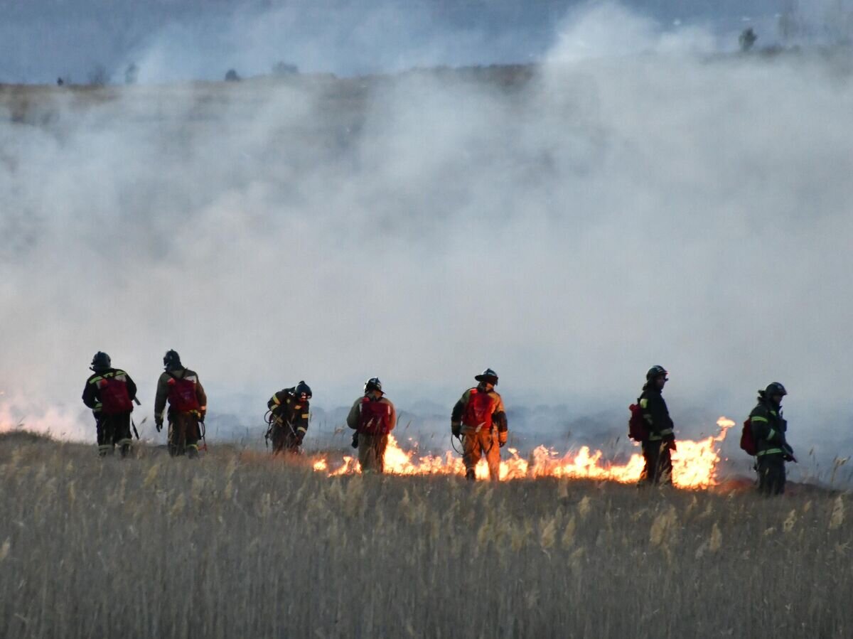    Сотрудники МЧС Забайкалья на месте пожара в микрорайоне ГРЭС в Чите© РИА Новости / Евгений Епанчинцев