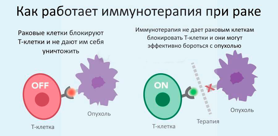 Фото из открытого источника