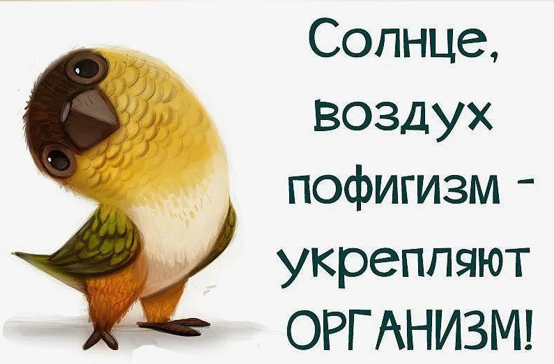 хороший тезис, но пофигизма тоже должно быть в меру