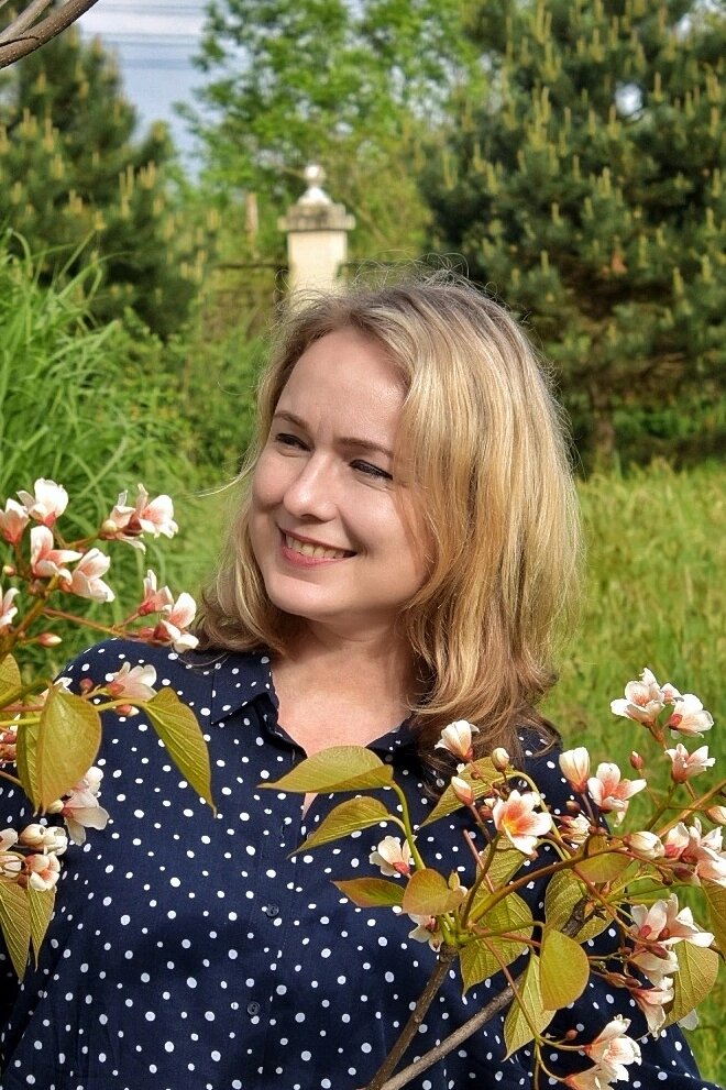 Тунговое дерево в дендропарке "Южные культуры". Адлер в мае