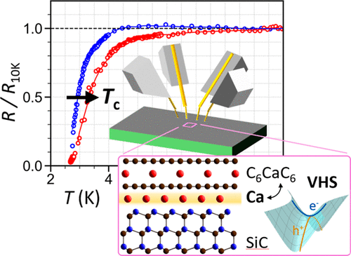   Satoru Ichinokura et al. / ACS Nano, 2024