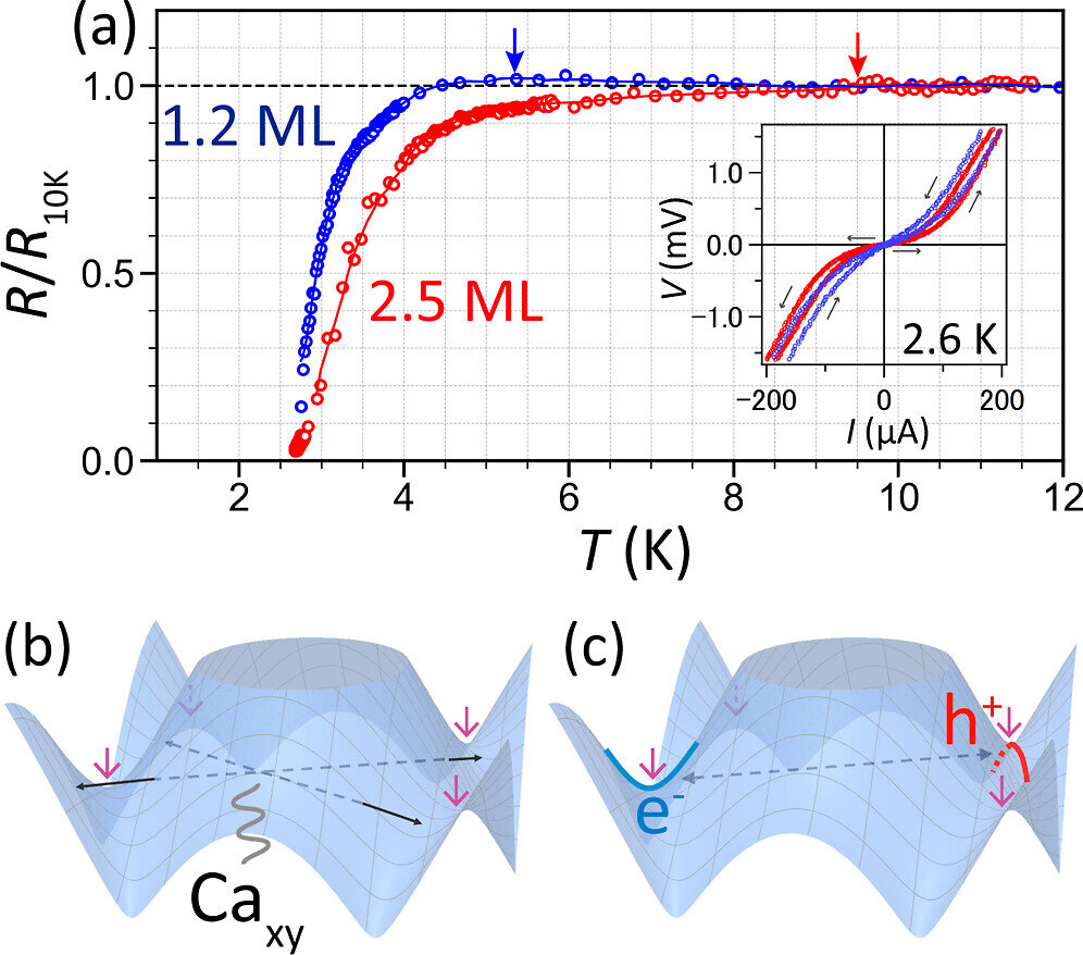   Satoru Ichinokura et al. / ACS Nano, 2024