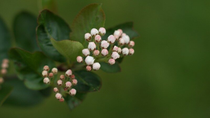 Фото: pxhere.com 