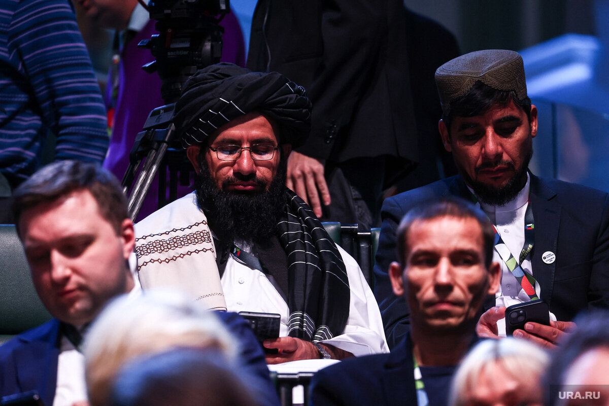 «Талибан»* предложили исключить из списка запрещенных в России