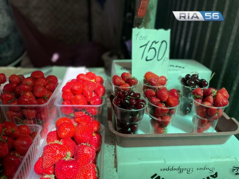    Дорогое удовольствие. Сколько стоит клубника в Оренбурге Марина Шарт