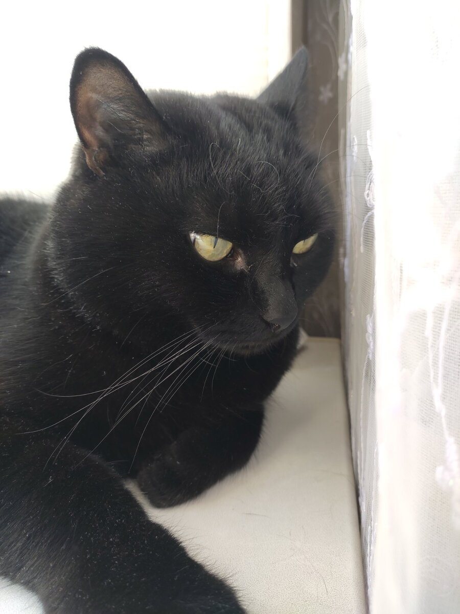 Фото автора. 