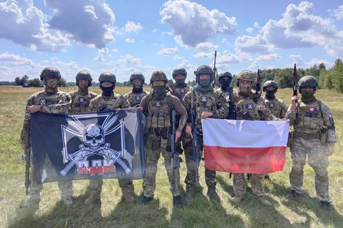    Сикорский допустил отправку польских войск на Украину
