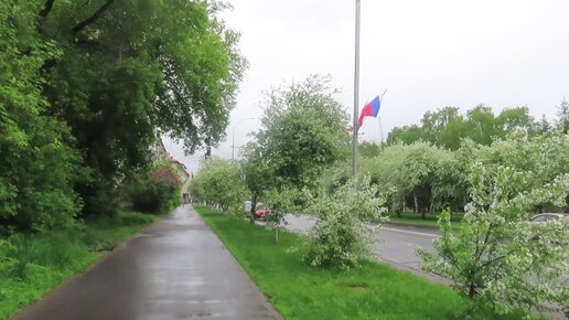 Яблоньки на ул. Мичурина. Кемерово