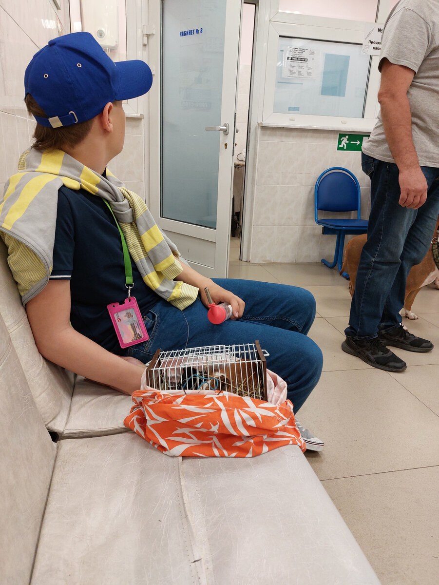 В вет. Клинике в воскресенье