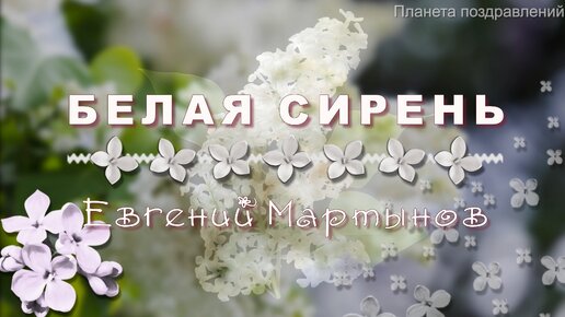 Евгений Мартынов, Белая сирень, хиты 80-Х