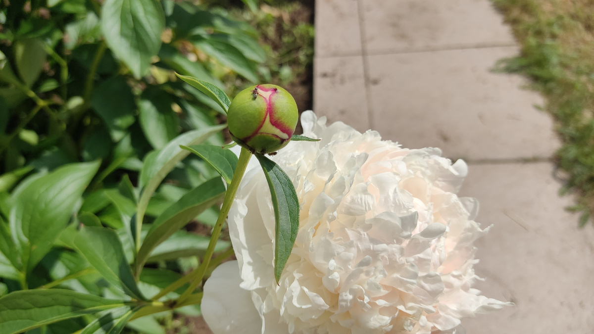 Мы борьбу ведем, а почему именно, об этом дальше 