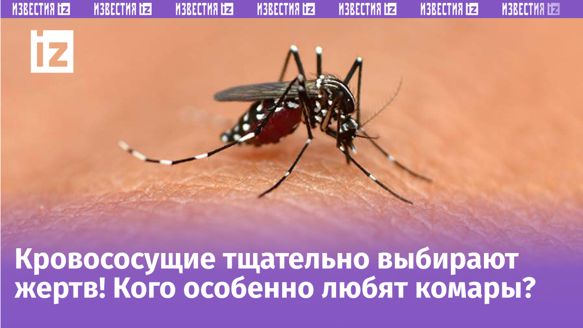 Как и чем лечить укусы комаров: зуд, покраснение, отек