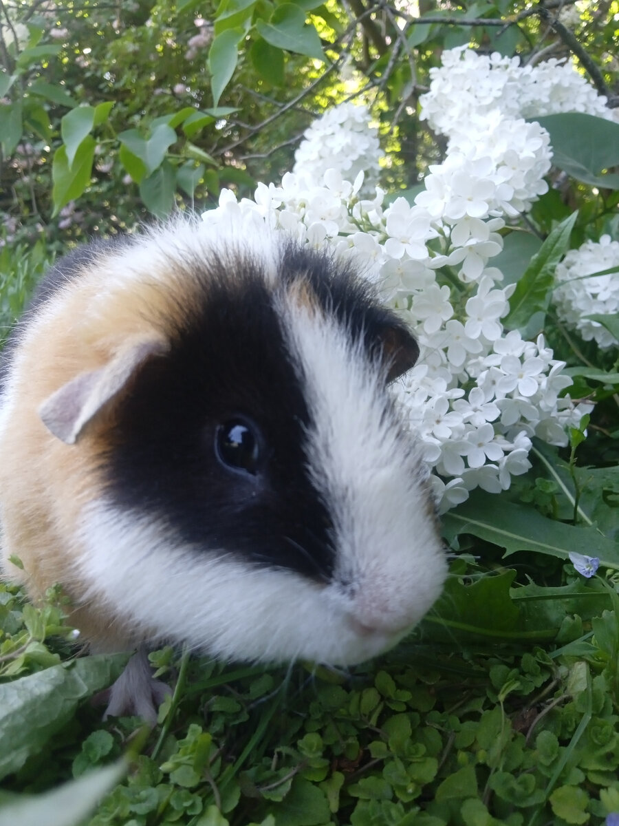 Наш мальчик