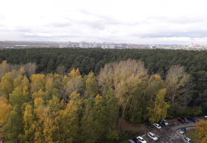 Фото из сервиса 2ГИС