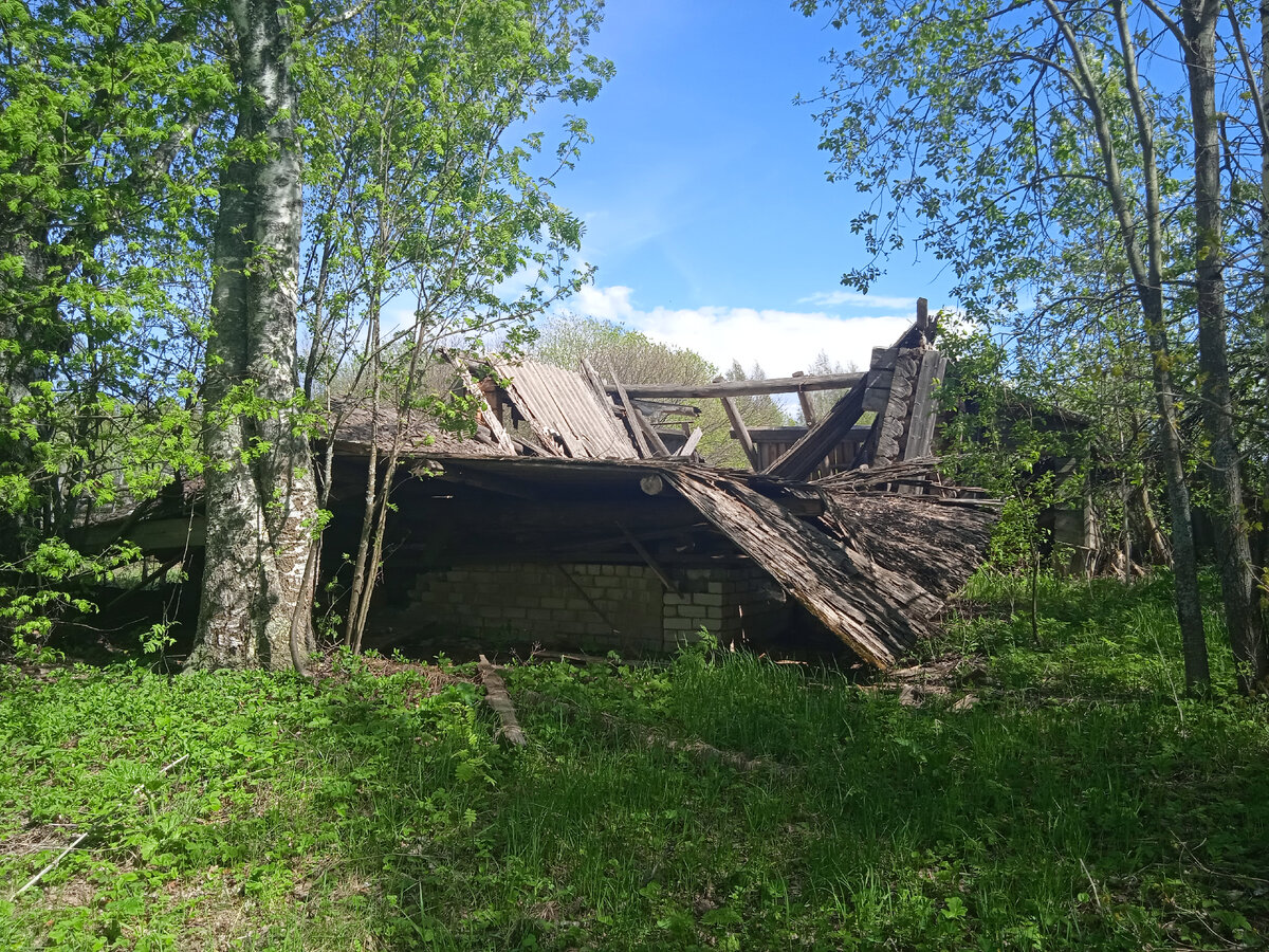 Дом находился на кирпичном фундаменте. Фото автора.