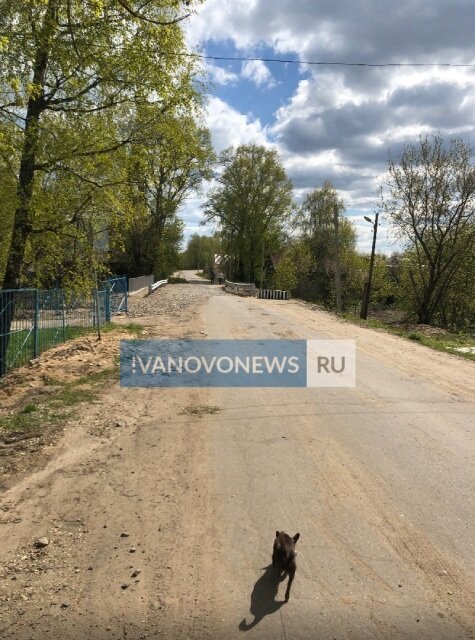    Новый мост через реку Черную в Писцове собираются сдать без недостатков