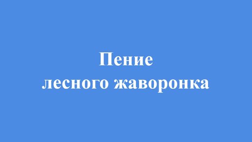 Пение лесного и полевого жаворонков #пениептиц #голосаптиц #жаворонок #полевойжаворонок #леснойжаворонок #птицы #орнитология