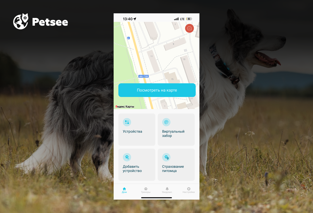 C помощью GPS-трекера можно следить за питомцем в удобном приложении