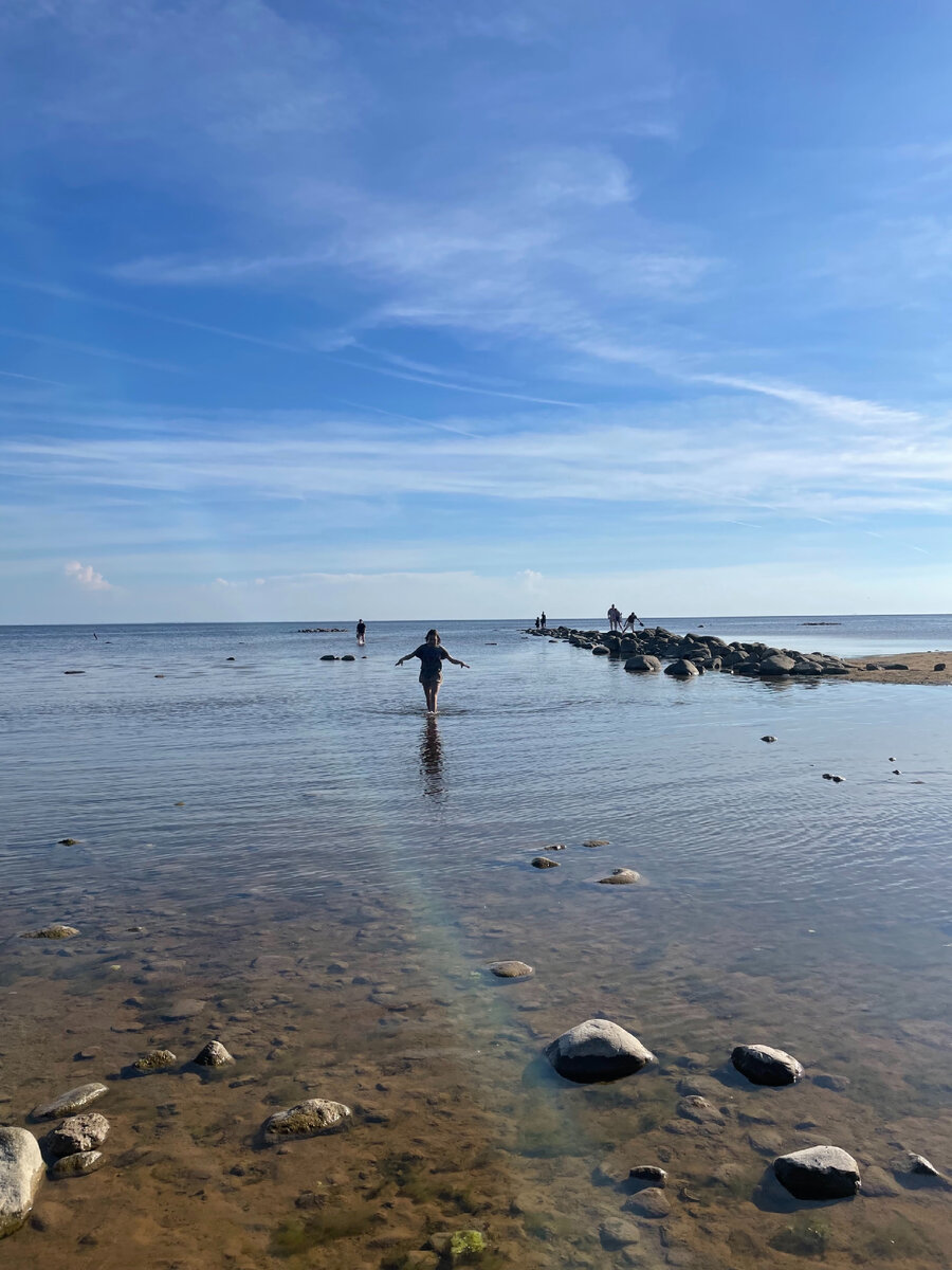 В Комарово мелко, поэтому сюда часто приходят и приезжают с детьми 