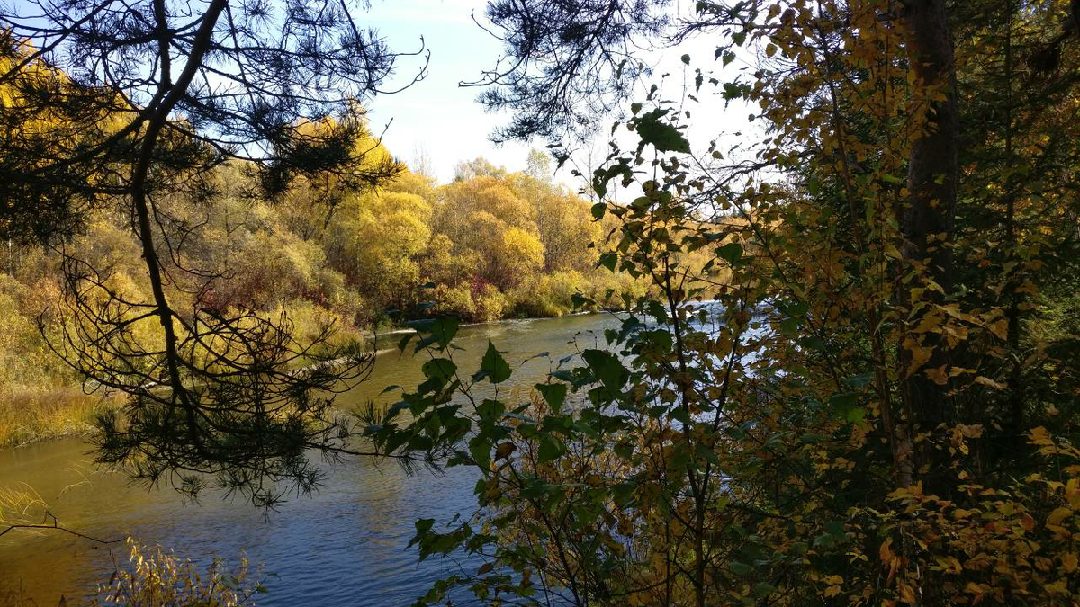 Район к северо-западу от станции Тимонино. Фото из Google.Earth