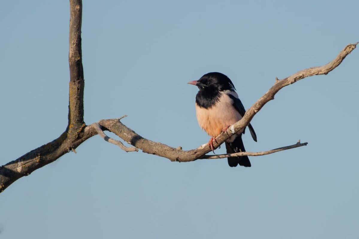 Фото: В. Панькова